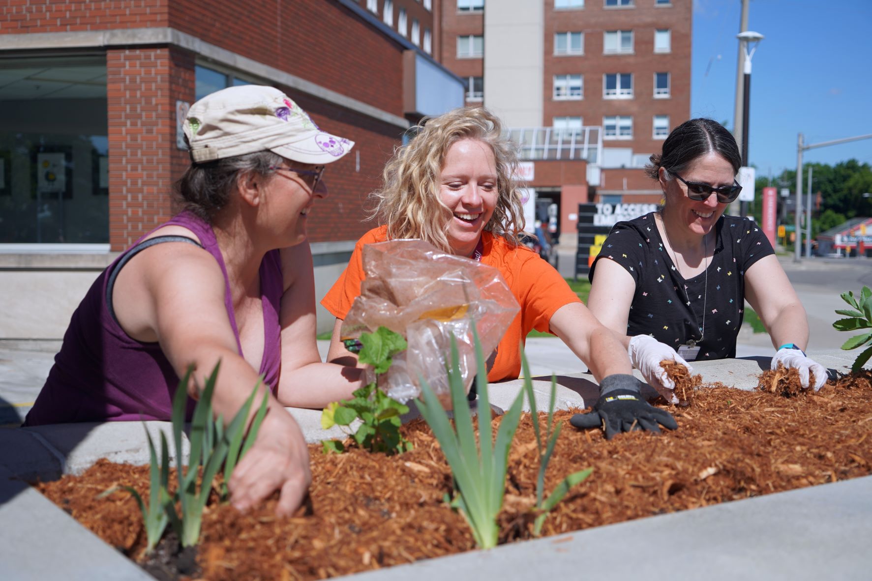 Wellness Garden