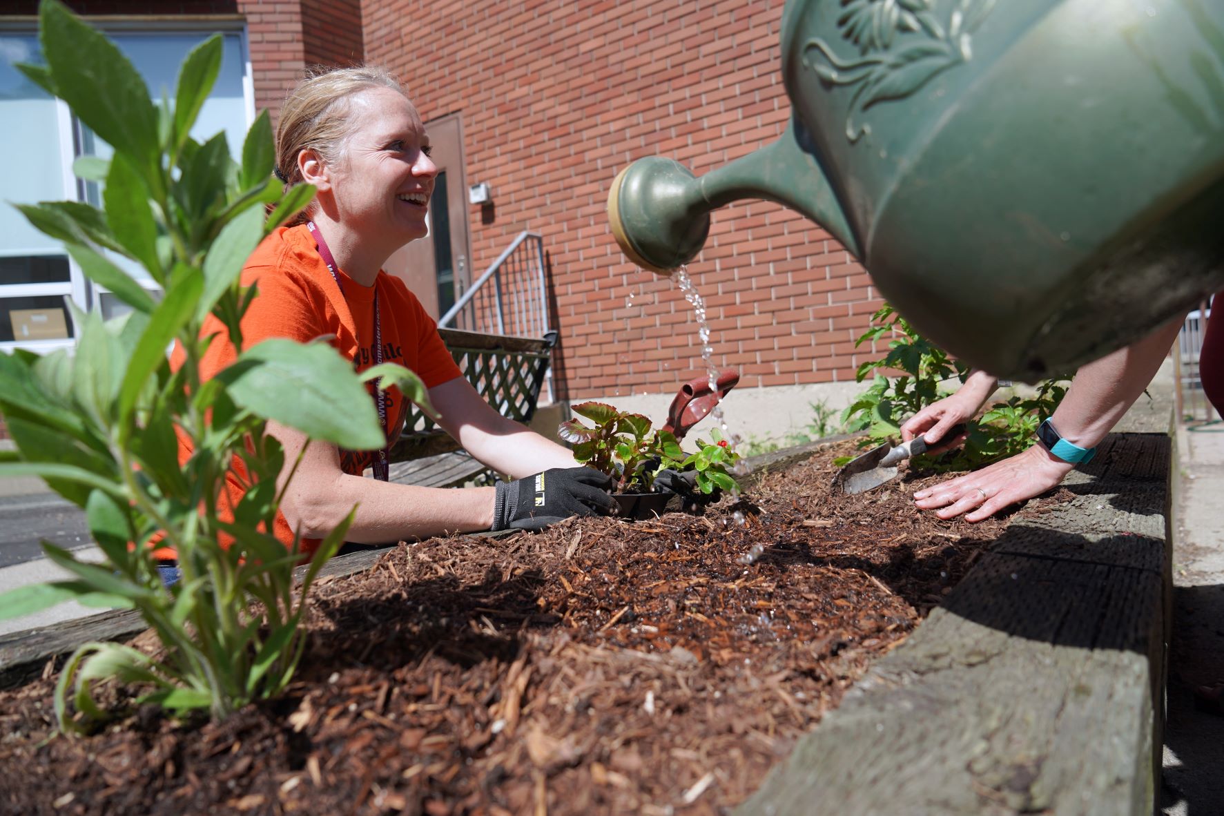 Wellness Garden