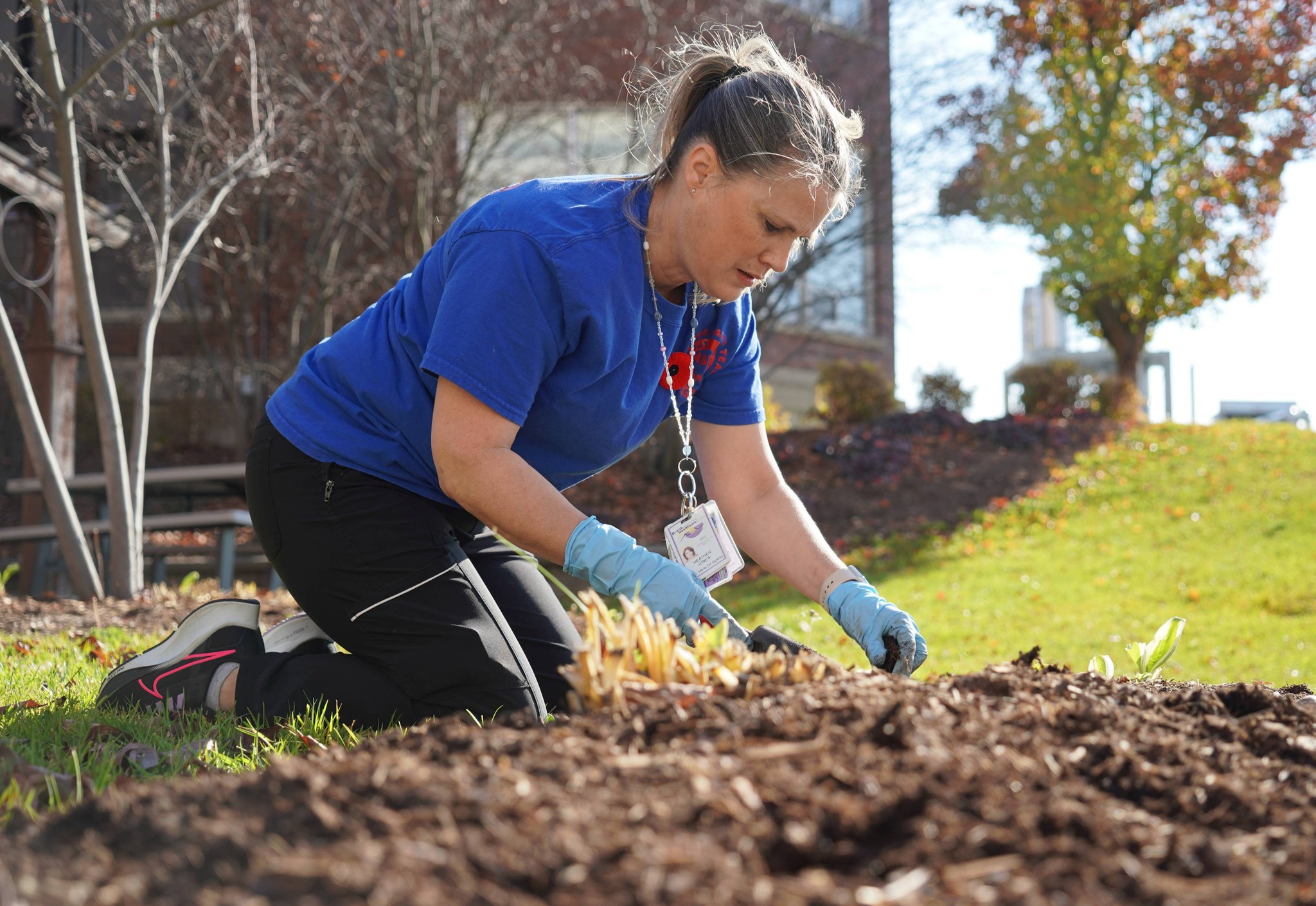 Tulip Planting